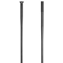 DT Swiss Competition Race 14g DB Spoke SP  Blk 302mm 20/Ct