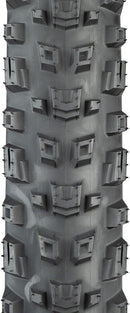 Teravail Warwick Tire - 29 x 2.5 Tubeless Folding Tan Light Supple Fast Compound