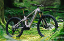 Transition Regulator CX (X-Large Frost berry) - Save $3,000.00