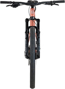 Salsa Spearfish C Eagle 90 Transmission Bike - 29" Carbon Dusty Rose Medium