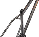 Salsa Fargo Frameset - 29" Steel Graphite Medium