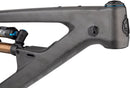 Salsa Cassidy Carbon Frame - Carbon Raw Medium