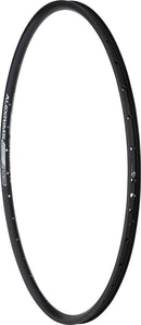Alex DC19 Rim - 700 Disc Black 36H Clincher