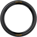 Continental Argotal Tire - 29 x 2.40 Tubeless Folding BLK SuperSoft Enduro Casing E25