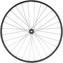 Quality Wheels Value Double Wall Series Disc Rear Wheel - 700 12 x 142mm Center-Lock HG 11 Road BLK 28H