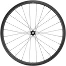 Fulcrum Rapid Red Carbon Front Wheel - 700c 12 x 100mm Center-Lock Disc BLK