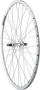 Quality Wheels Value Double Wall Series Track Rear Wheel - 700 10 x 1 x 120mm Rim Brake Fixed/Freewheel Silver Clincher Sealed 32H
