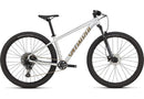 2025 Specialized Rockhopper Expert Bike Gloss Silver Dust / Satin Burnt Gold Metallic S