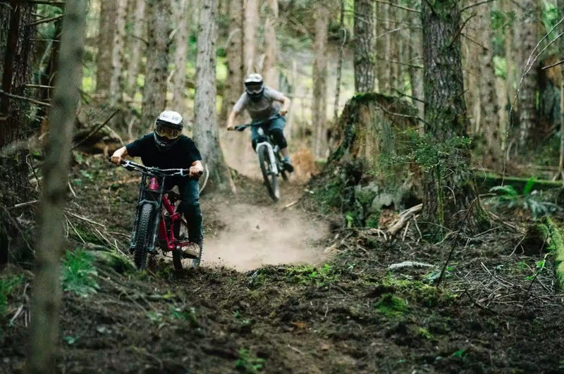 Transition Bottlerocket Single Crown (Small, Disco Flamingo)