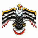 Ground Keeper Fender Screamin' Eagle - Gloss  