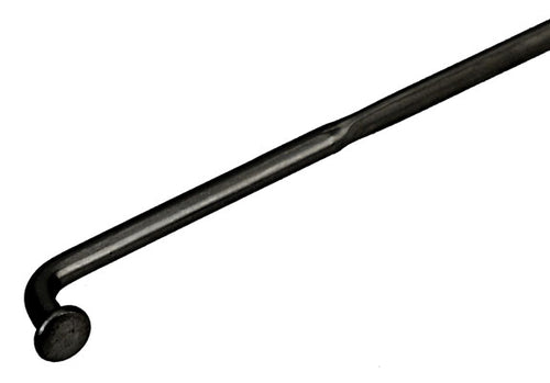 pm41258_500x.jpg?v=1722674809