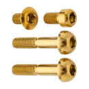 Terske Bolt Kit Brake Lever Matchmaker Gold  
