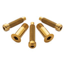 Terske Bolt Kit Rear Derailleur Shimano A Gold