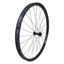 DT Swiss XMC 1501 Spline One Front Wheel - 29" 15 x 110mm 6-Bolt Black