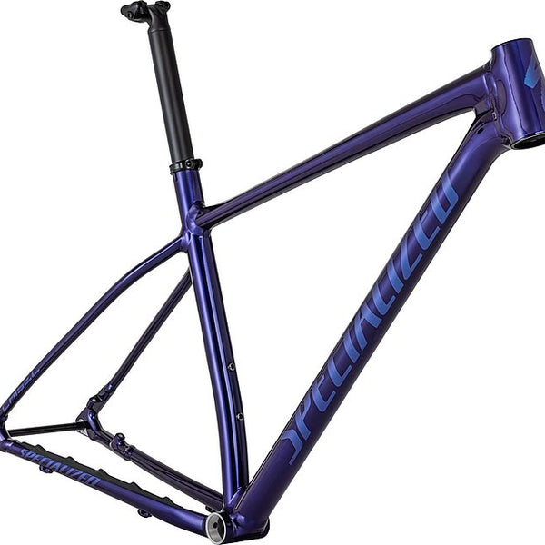 Specialized chisel 2021 frame sales