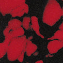 Profile Design Splash Cork Non-Adhesive Bar Tape - Red/Black