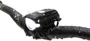 Niterider Swift 500 Black 5 Front Silicone Strap USB 500