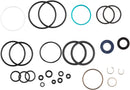 FOX Damper DHX2 Rebuild '21