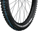 Schwalbe Hans Dampf Tire - 29 x 2.6" Tubeless Folding BLK Evolution Line Addix SpeedGrip Super Trail