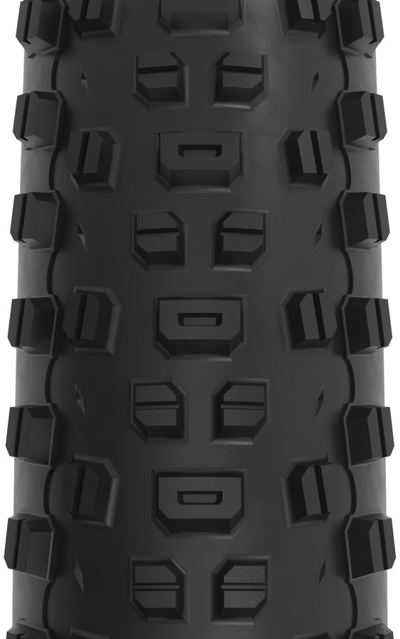 WTB Ranger Tire - 29 x 2.4 TCS Tubeless Folding Black Light High Grip
