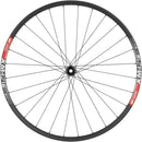 DT Swiss  350/XM421 Front Wheel - 29" 15 x 110mm Center Lock Black