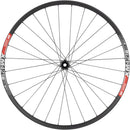 DT Swiss  350/XM421 Front Wheel - 29" 15 x 110mm Center Lock Black