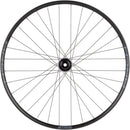 Stan's Arch S2 Front Wheel - 29" 15 x 100mm 6-Bolt Black 32H