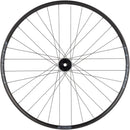Stan's Arch S2 Front Wheel - 29" 15 x 100mm 6-Bolt Black 32H
