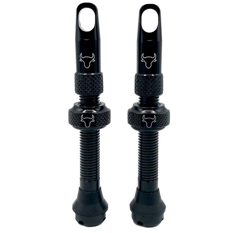 Hold Fast Cycling Tubeless Valve Stem 42mm (Pair) - Black