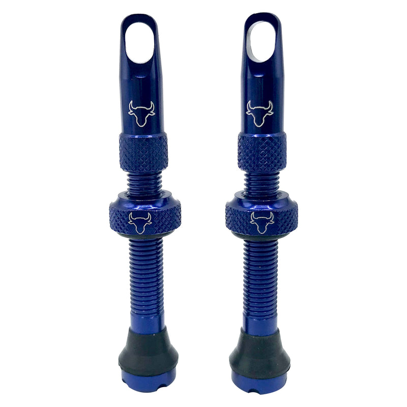 Hold Fast Cycling Tubeless Valve Stem 42mm (Pair) - Blue