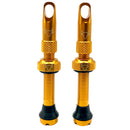 Hold Fast Cycling Tubeless Valve Stem 42mm (Pair) - Gold