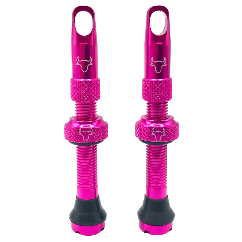 Hold Fast Cycling Tubeless Valve Stem 42mm (Pair) - Pink