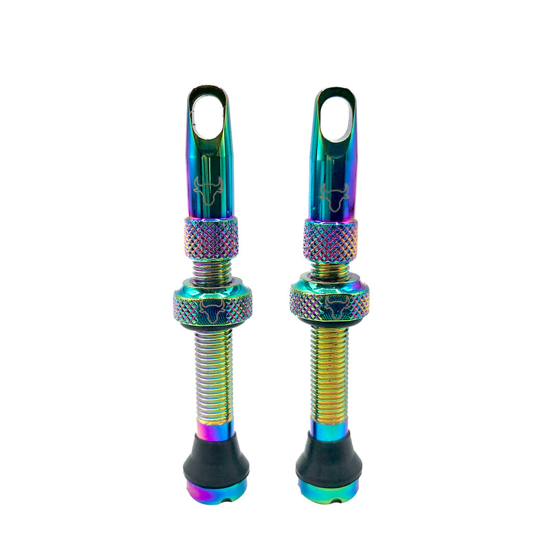 Hold Fast Cycling Tubeless Valve Stem 42mm (Pair) - Oil Slick